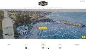 Exalta website, designed by Web Extra